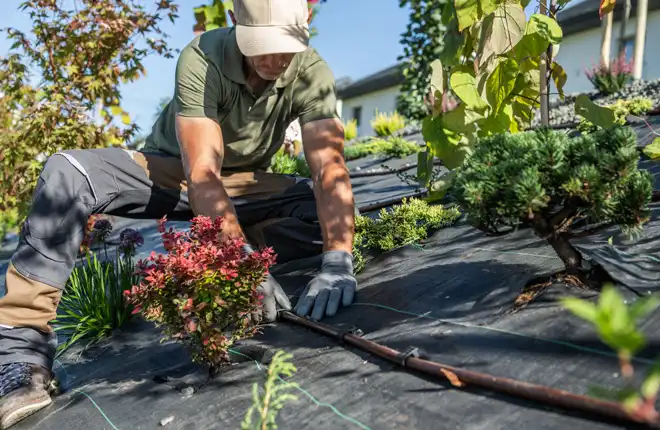 Hovenier legt een beregeningssysteem aan in een moderne tuin